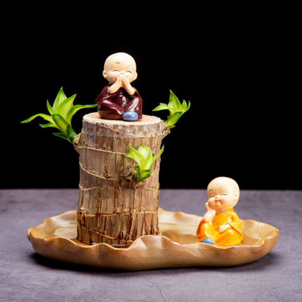 Indoor Plant for Desk, Live Lucky Bamboo Plant in Pot, Air Purifying Plant and Low Light Houseplant for Office_06