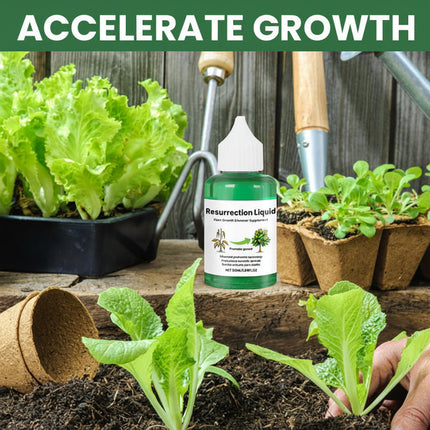 Liquid Plant Fertilizer Growth Booster for Fast Recovery | Organic Nutrient-Rich Formula for Healthy Plants