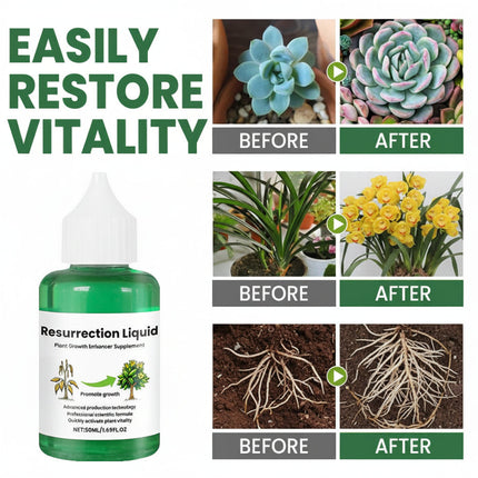 Liquid Plant Fertilizer Growth Booster for Fast Recovery | Organic Nutrient-Rich Formula for Healthy Plants