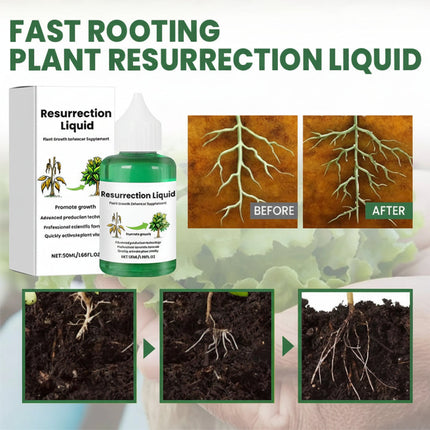 Liquid Plant Fertilizer Growth Booster for Fast Recovery | Organic Nutrient-Rich Formula for Healthy Plants