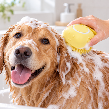 Dog Grooming Brush with Shampoo Dispenser, Dog Grooming Tool for Bath with Soft Bristles, Cat Grooming Tool_01