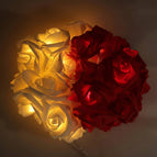 Battery-powered / 3m x 20 lights