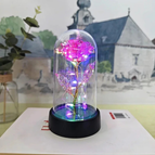 Pink - Colored Light