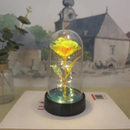 Yellow - Warm Light