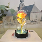 Orange - Warm Light