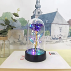 Purple - Colored Light