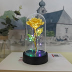 Yellow - Colored Light