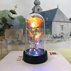 Orange - Colored Light