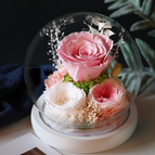 Soft Pink