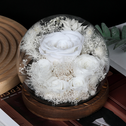 Preserved Flower Dome with LED Light for Mother's Day | Elegant Indoor Decoration and Gift Display