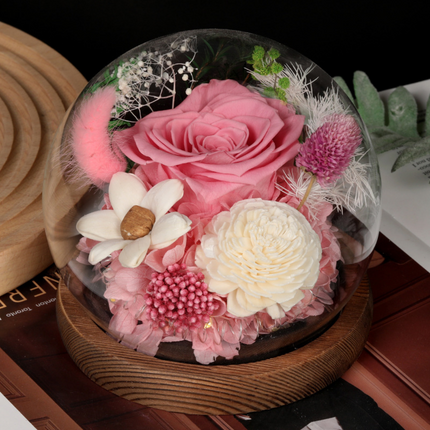 Preserved Flower Dome with LED Light for Mother's Day | Elegant Indoor Decoration and Gift Display