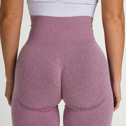 High Waist Leggings for Women with Seamless Stretch | Comfortable Yoga Pants for All-Season Activewear