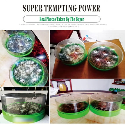 Fly Traps Outdoor and Indoor – image 6
