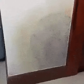 Mold Remover Spray for Bathroom Tiles and Walls, Foaming Cleaner for Painted Surfaces and Basements