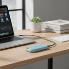 Blue / 1 TB