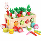 Montessori Toys for Toddlers, Wooden Farm Toy Set with Fruit Blocks, Educational Toys for Sorting and Shape Learning_00