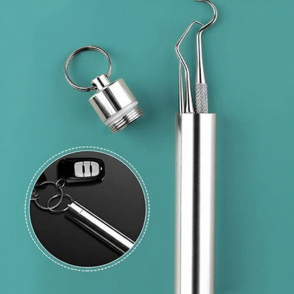 Reusable Metal Toothpick Set with Portable Case | Oral Cleaning Tool for Travel and Everyday Use