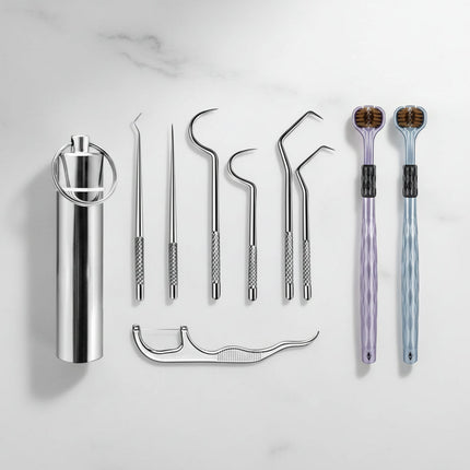 Reusable Metal Toothpick Set with Portable Case | Oral Cleaning Tool for Travel and Everyday Use