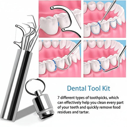 Reusable Metal Toothpick Set with Portable Case | Oral Cleaning Tool for Travel and Everyday Use