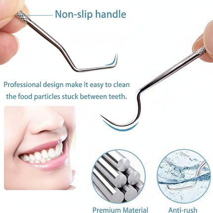 Reusable Metal Toothpick Set with Portable Case | Oral Cleaning Tool for Travel and Everyday Use
