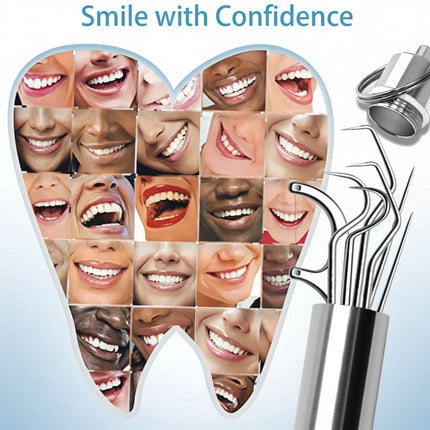 Reusable Metal Toothpick Set with Portable Case | Oral Cleaning Tool for Travel and Everyday Use
