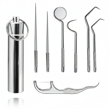 Reusable Metal Toothpick Set with Portable Case | Oral Cleaning Tool for Travel and Everyday Use