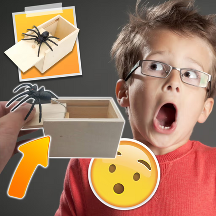 Spider Box Prank Gift, Gag Gifts – image 6