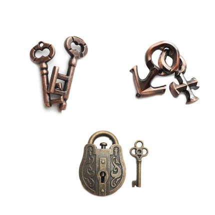 Metal Puzzle Brain Teaser Gift Set, Several Intricate Metal Puzzles in One Set for Birthdays and Holidays