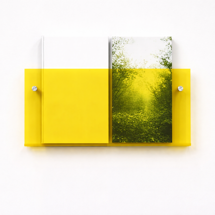 Acrylic Wall Shelf Storage Organizer with Space-Saving Design | Clear Display for Magazines and Books