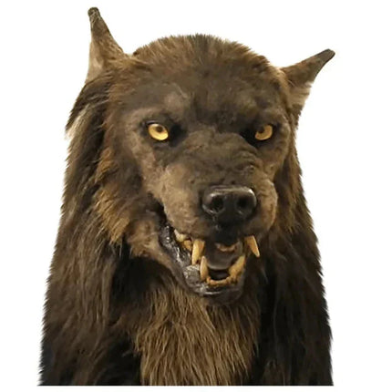 Wolf Costume Mask with 360° Rotation | Realistic Silicone Design for Halloween & Masquerade 3