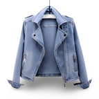 Light Blue / S