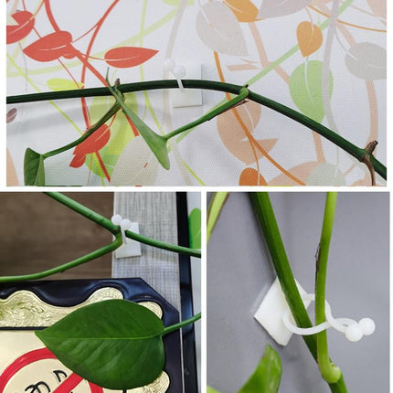 Self-Adhesive Plant Wall Clips with Strong Hold | 50-Piece Set for Easy Plant Organization