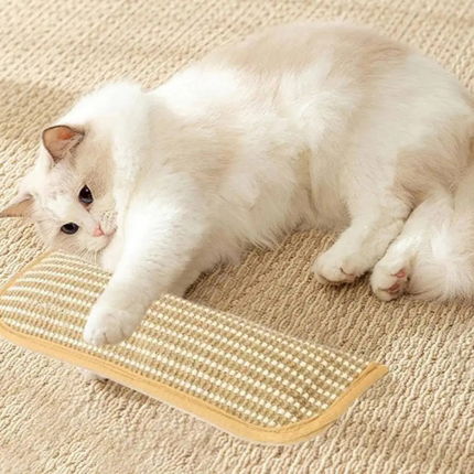 Cat Scratching Pillow with Durable Scratching Surface | Soft Catnip Toy for Stress Relief and Relaxation