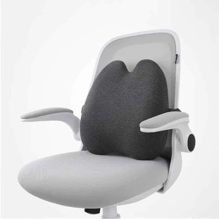 Pressure Relief Seat Cushion with Breathable Memory Foam | Comfortable Support for Long Sitting Hours