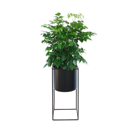 Metal Indoor Plant Stand with Modern Rectangular Frame | Durable Space-Saving Holder for Elegant Indoor Display
