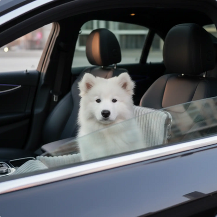 Dog Car Seat Booster with Elevated Design | Safe Travel Seat for Small Pets