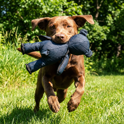 Durable Interactive Dog Chew Toy with Tug Rope Design | Heavy Duty for Aggressive Chewers and Endless Play