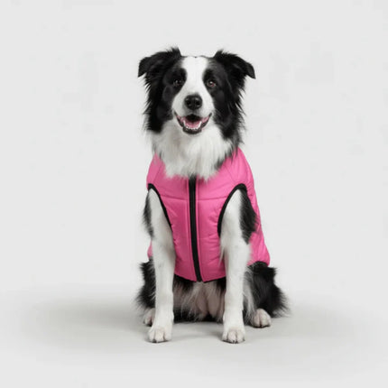3-in-1 Dog Jacket Winter Coat with Removable Liner | Versatile Layering for Wind & Moisture Protection