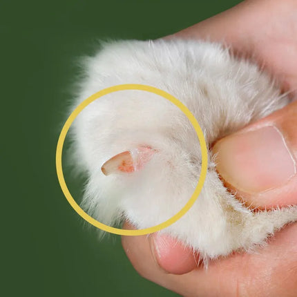 Nail Clippers for Pets with Ergonomic Grip & SafetyGuard Blades | Easy Grooming for Happy Paws