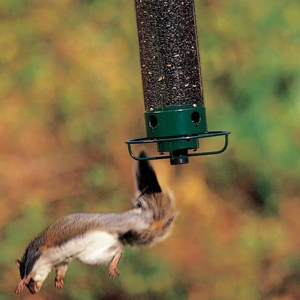 Bird Feeders for Outside – image 6