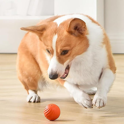 Interactive Dog Ball with Flashing Lights, Interactive Dog Ball with Flashing Lights – image 10