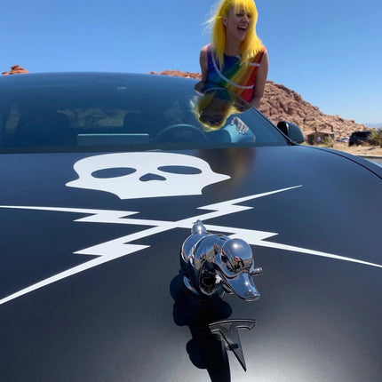 Angry Duck Hood Ornament in Durable Resin, Silver or Black Hood Decoration for Cars, Trucks and Hot Rod Builds