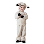 Sheep / 3-4 Years