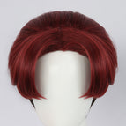 Wig / Adult S