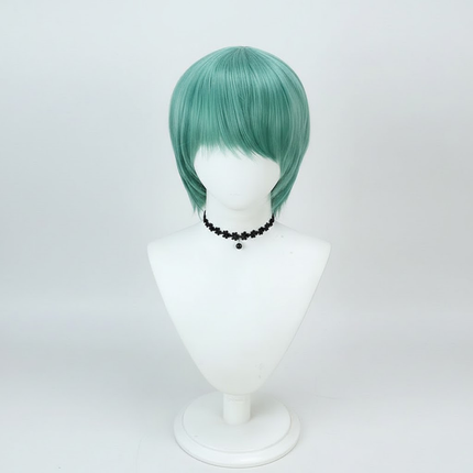 Halloween Costume Wig with Multiple Character Styles | Versatile Cosplay Accessory for Themed Parties and Dress Up