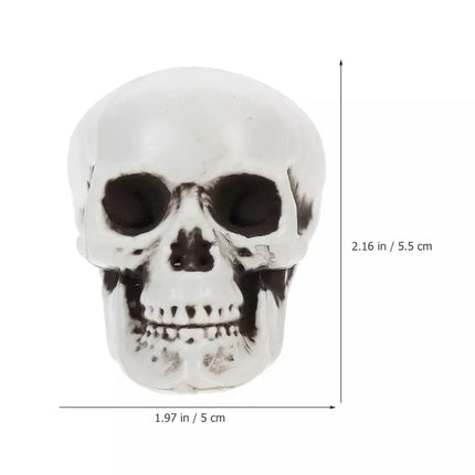 Mini Skull Decorations for Halloween with Striking White Finish | Versatile Accent for Spooky Displays and Themed Events