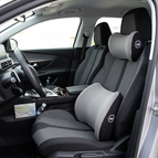 Gray / Headrest + Lumbar