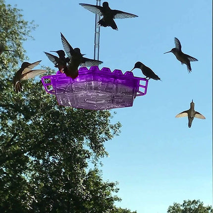 Hummingbird Feeder with Hexagonal Ports for Easy Cleaning | Vibrant Hanging Bird Feeder for Outdoor Spaces
