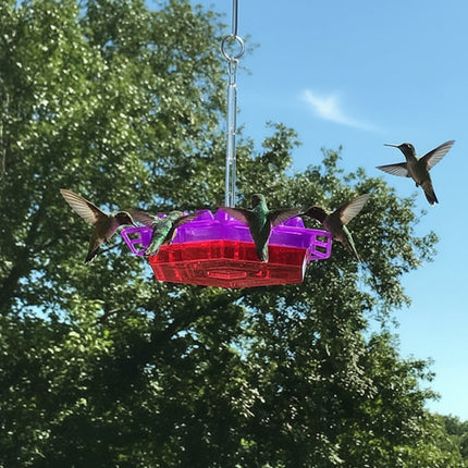 Hummingbird Feeder with Hexagonal Ports for Easy Cleaning | Vibrant Hanging Bird Feeder for Outdoor Spaces