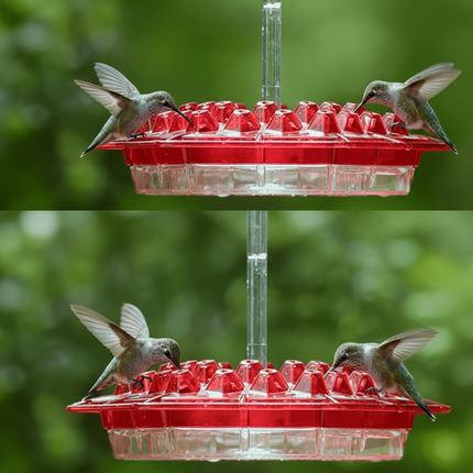 Hummingbird Feeder with Hexagonal Ports for Easy Cleaning | Vibrant Hanging Bird Feeder for Outdoor Spaces